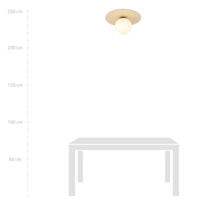Stropní svítidlo KENZO 1B – hnědé, bílé sklo