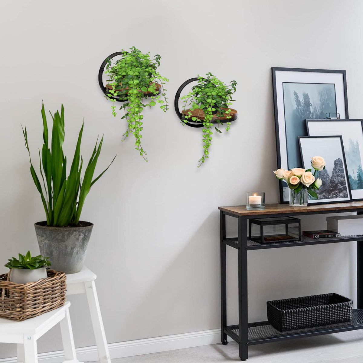 Kovový nástěnný držák na květiny černý Ebro Rustic loft