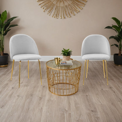 Sametová židle Fargo Gold Velvet šedé