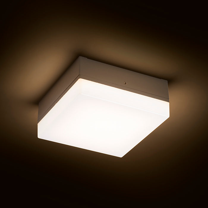 SPECTACLE přisazená stříbrnošedá 230V LED 5W IP54 3000K